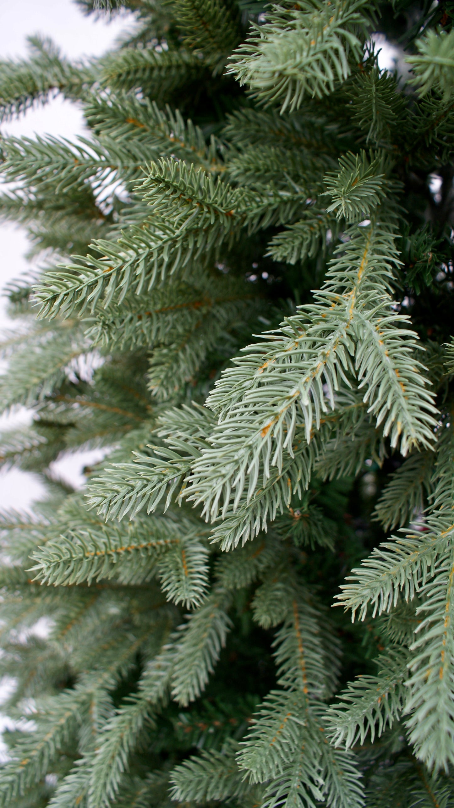 A Kunstkerstboom Grindsted groen. NU 50% KORTING OP AL ONZE KUNSTKERSTBOMEN.