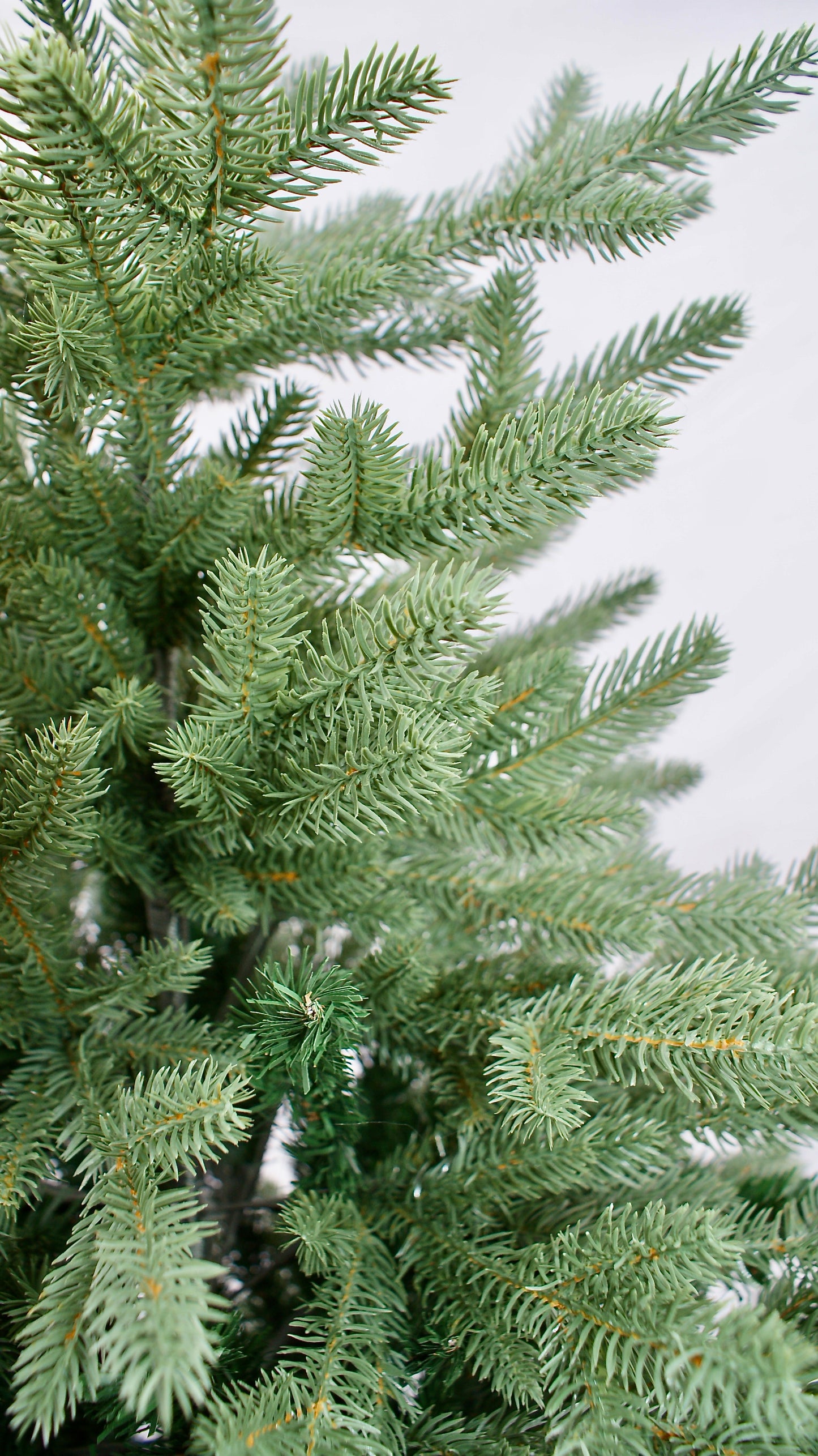 A Kunstkerstboom Grindsted groen. NU 50% KORTING OP AL ONZE KUNSTKERSTBOMEN.