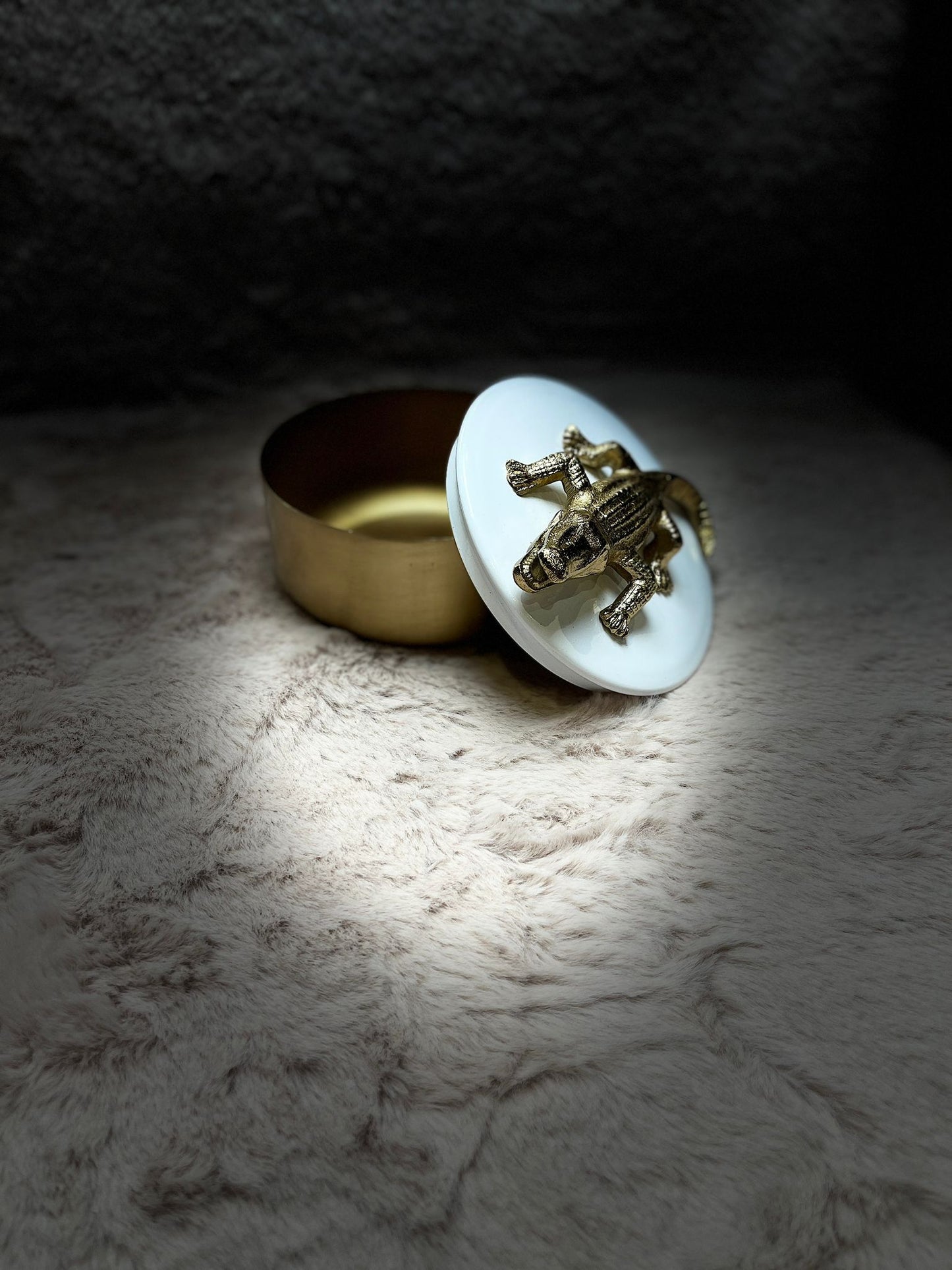 Housevitamin | Box Krokodil Goud/Wit 14x10 cm